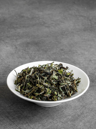 Himalayan Early Spring FF 2022 No.634