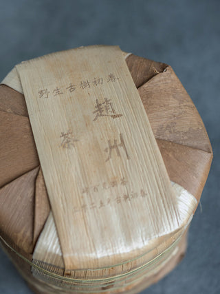 Da Xue Shan Yesheng 2025 No.879