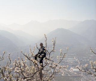 Hand Pollinators in China – exhibition of Mariann Fercsik