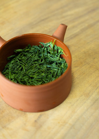 Tea class - Japan Origin trip on September 22, 2026