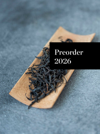 Preorder Yesheng Hong 2026 No.640
