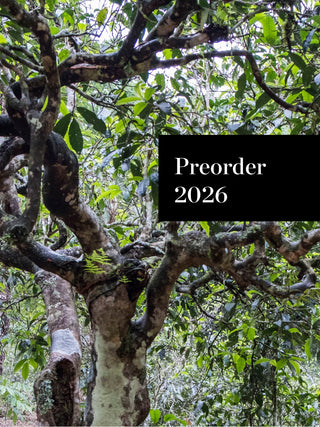 Preorder Da Xue Shan White Bing 2026 No.217