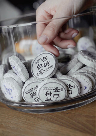 Preorder Da Xue Shan White Mini Bing 2025 No.217