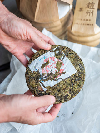 Da Xue Shan Huang pian 2025 No.877