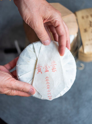 Da Xue Shan Huang pian 2025 No.877