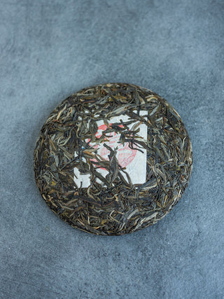 Da Xue Shan – Snow Mountain 2025 No.878