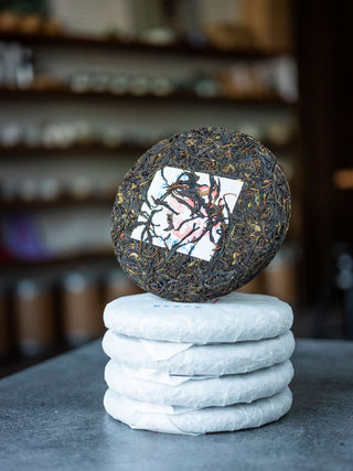 Da Xue Shan Yesheng 2025 No.879