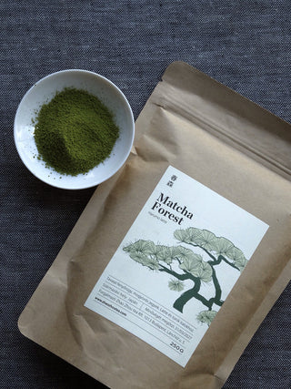 Matcha Spring Forest 2025 No.362