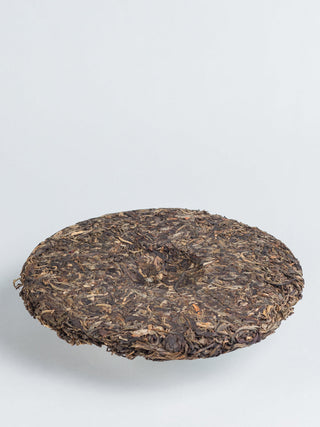 Xigui Mekong Old Tree 2007 No.859