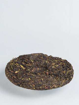 Da Xue Shan Yesheng – Snow Mountain wild tree 2019 No.862