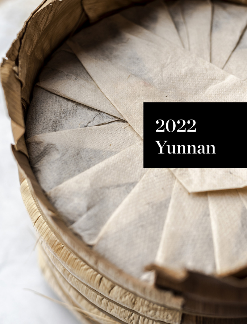Banzhang Golden leaves 2022 No.851